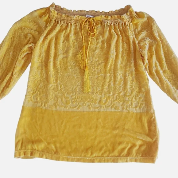 SUNDANCE Gold Floral Velvet/Silk Blend Burnout Ruffle Notch Neck Tunic Women's S - Picture 3 of 11